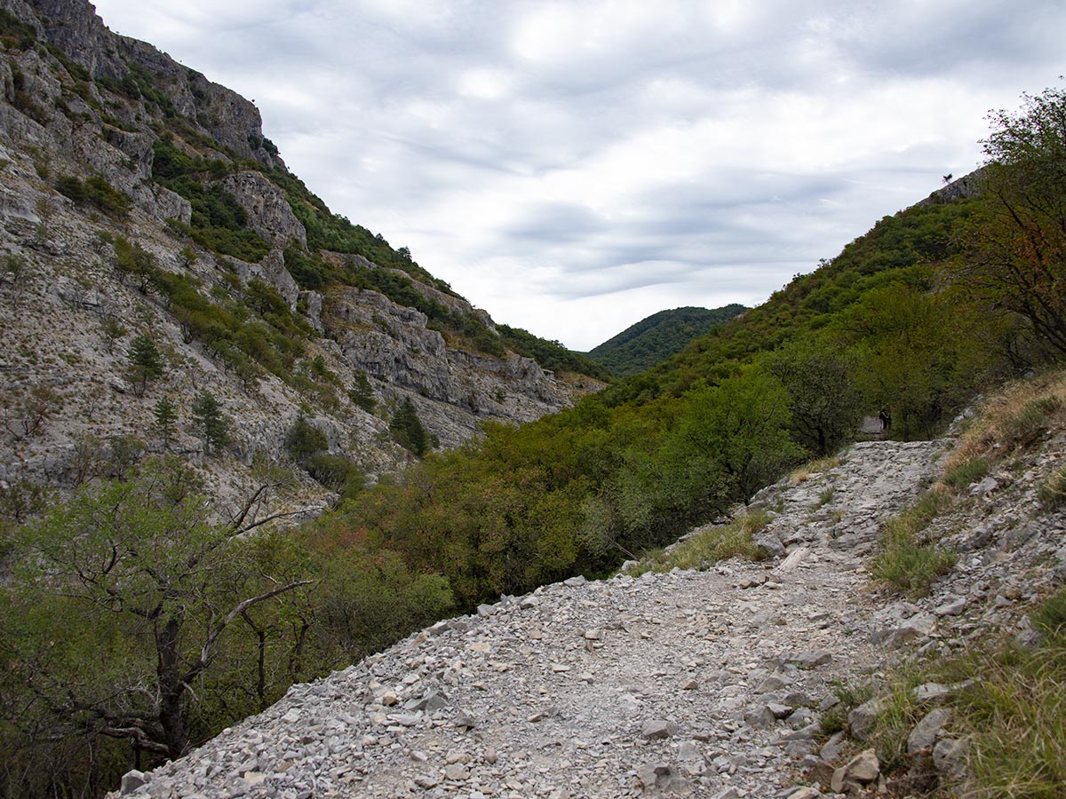 Val Rosandra